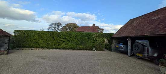 Hedge-Cutting-Service